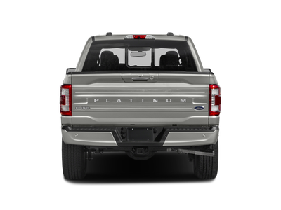 2022 FORD TRUCK F-150 PLATINUM