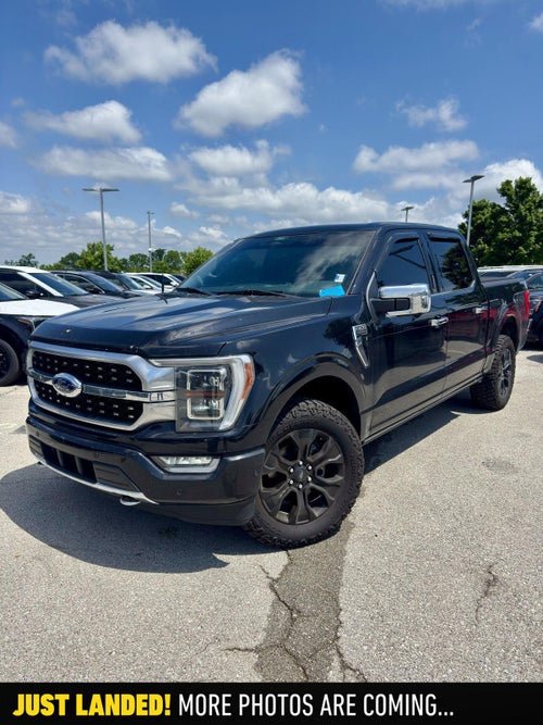 2023 Ford F-150 Platinum